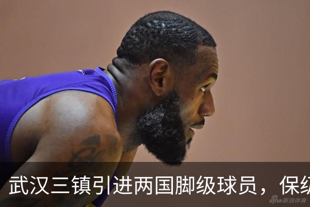 武汉三镇引进两国脚级球员，保级前景乐观